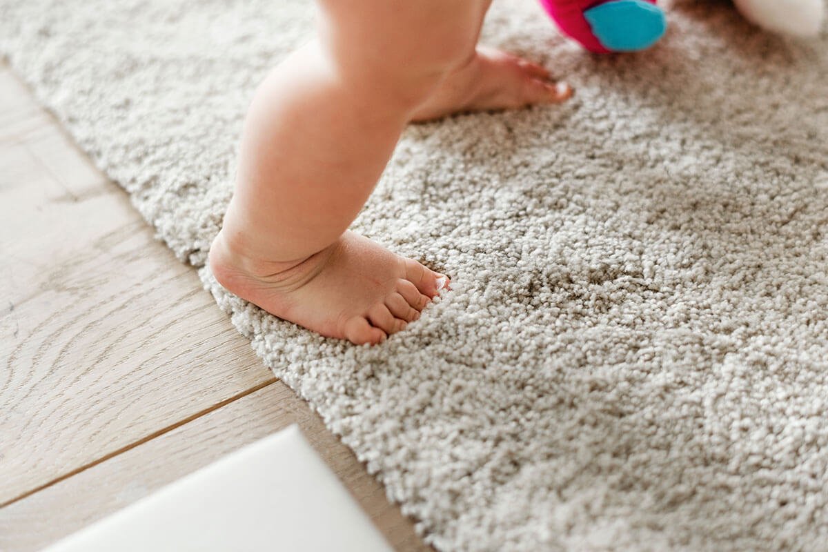 5 Signs Your Carpet Needs Cleaning CleanScape